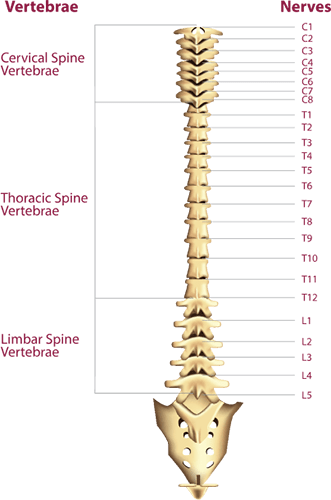 best spine care in ahmedabad